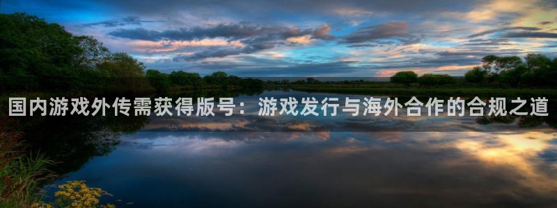 新宝GG子 到底怎么样：国内游戏外传需获得版号：游戏发行与海外合作的合规之道