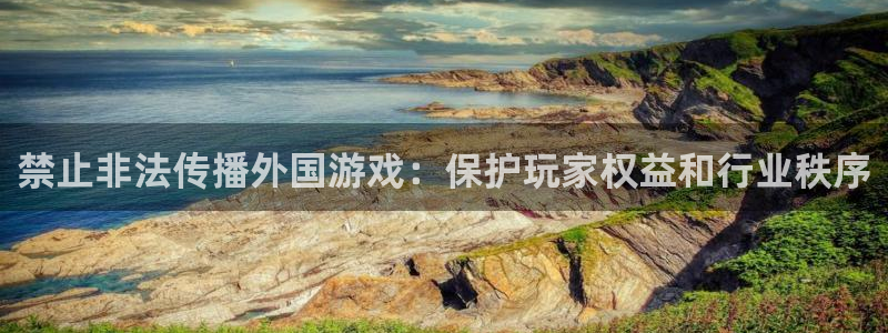 新宝GG技术有限公司官网：禁止非法传播外国游戏：保护玩家权益和行业秩序