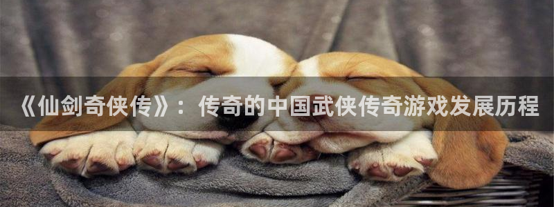 新宝GG电子科技：《仙剑奇侠传》：传奇的中国武侠传奇游戏发展历程