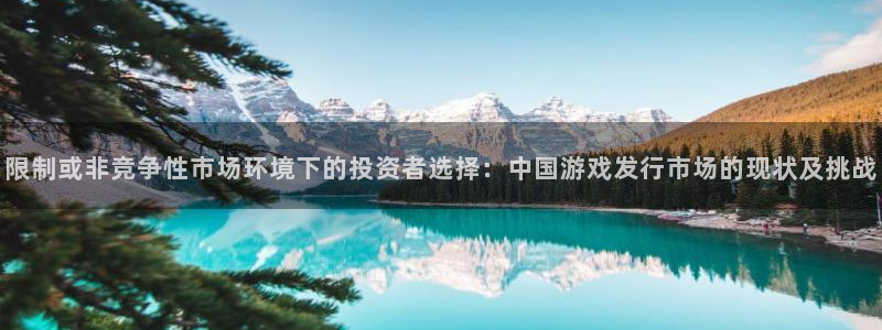 新宝GG子股价：限制或非竞争性市场环境下的投资者选择：中国游戏发行市场的现状及挑战