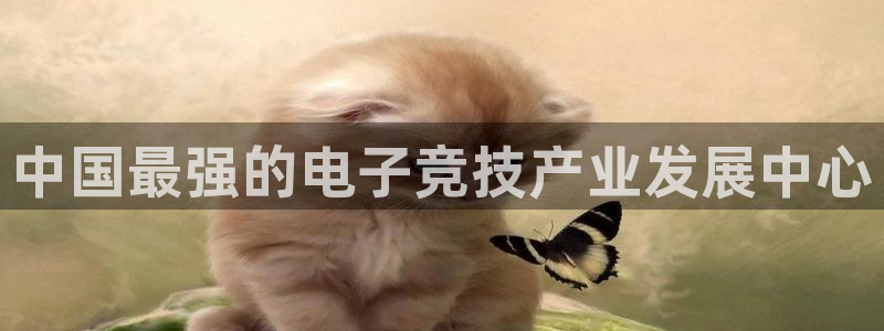 新宝GG官网平台代理条件如何