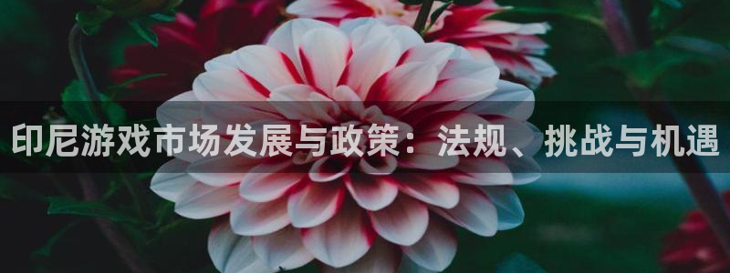 新宝GG官网代理开号