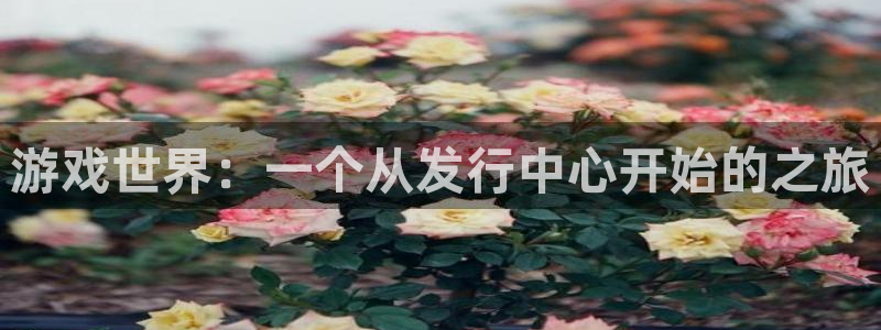 新宝GG官网代理开号怎么开：游戏世界：一个从发行中心开始的之旅