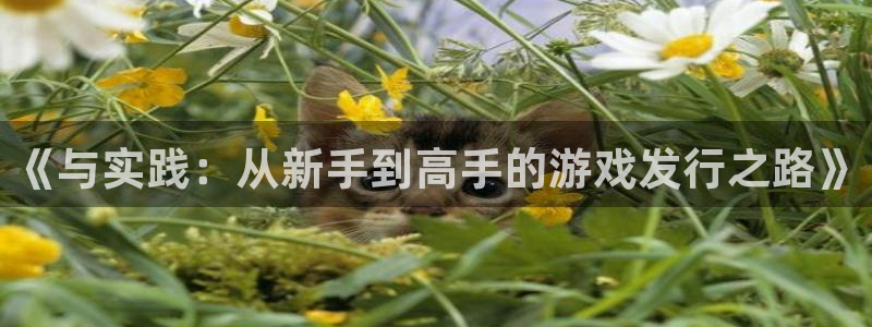 lvnces新宝GG衣服价格