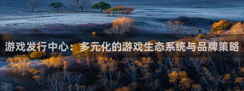 新宝GG官网主管他494o3 主管：游戏发行中心：多元化的游戏生态系统与品牌策略