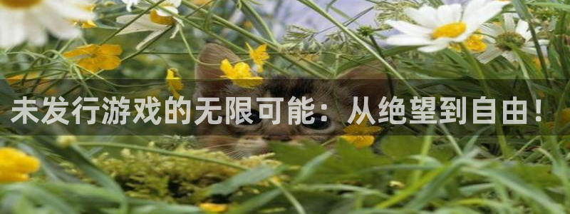新宝GG子文化
