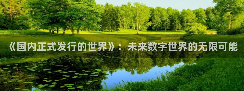 新宝GG官网注册地址在哪里啊：《国内正式发行的世界》：未来数字世界的无限可能