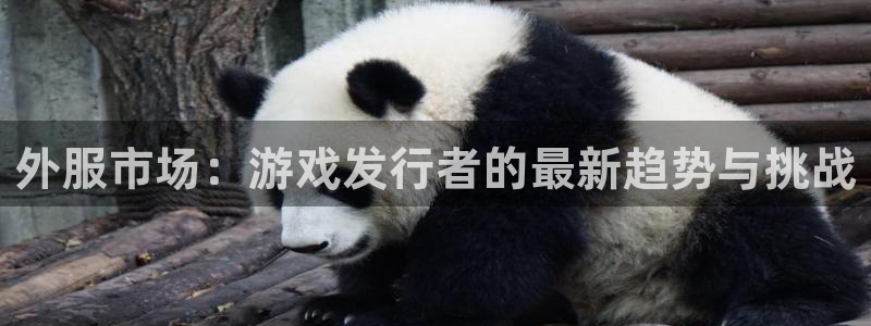 新宝GG防水的质量怎么样：外服市场：游戏发行者的最新趋势与挑战