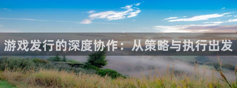 新宝GG官网登录注册账号失败怎么回事：游戏发行的深度协作：从策略与执行出发