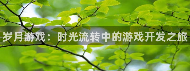 新宝GG子文化创意有限公司