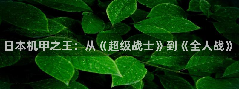 新宝GG官网平台是骗局吗