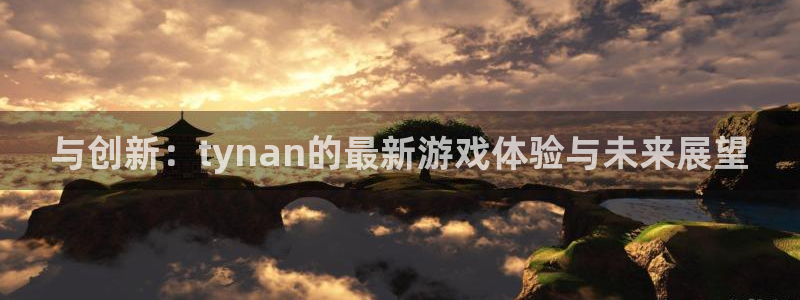 新宝GG技术有限公司官网：与创新：tynan的最新游戏体验与未来展望
