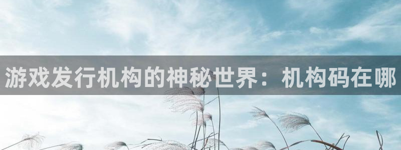 广东新宝GG电子科技有限公司：游戏发行机构的神秘世界：机构码在哪